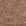 Medium Brown
