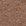Medium Brown