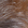 Brown-natural