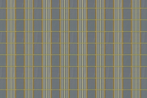 DOUBLE BEAM PLAID LAKE