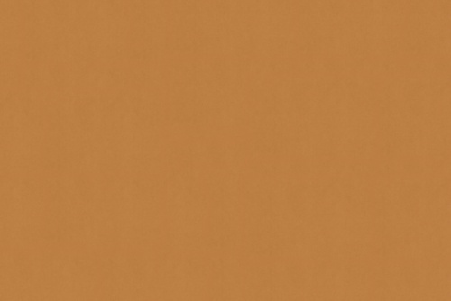 SENSUEDE ACORN