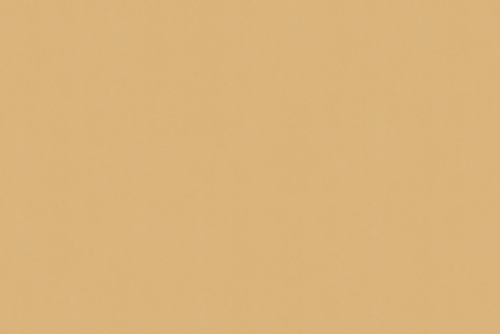 SENSUEDE BISCUIT