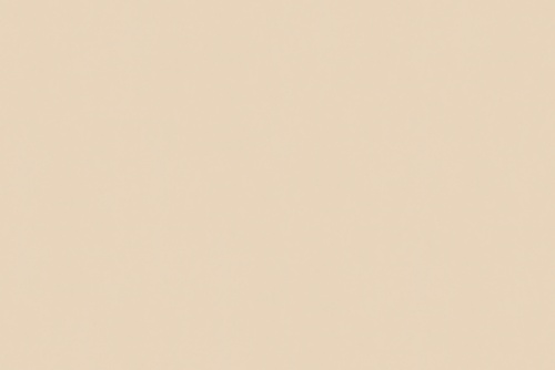SENSUEDE BONE