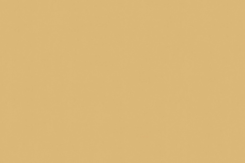 SENSUEDE CHAMOIS