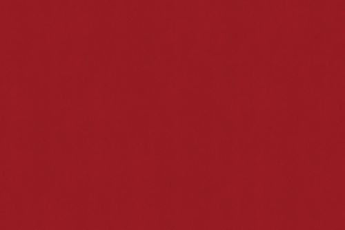 SENSUEDE CRANBERRY