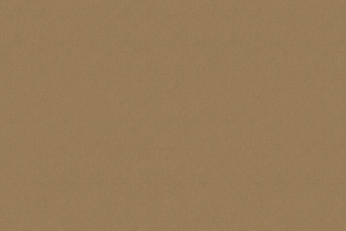 SENSUEDE LATTE