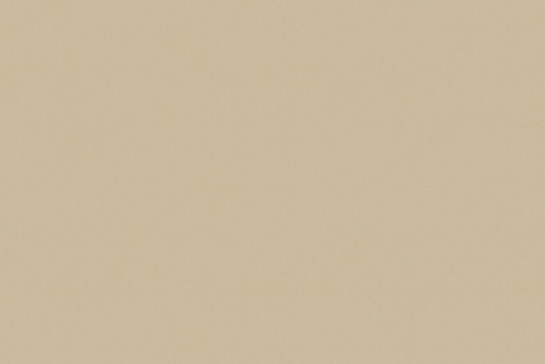 SENSUEDE OATMEAL