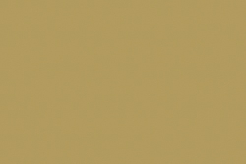 CHINTZ CHAMPAGNE