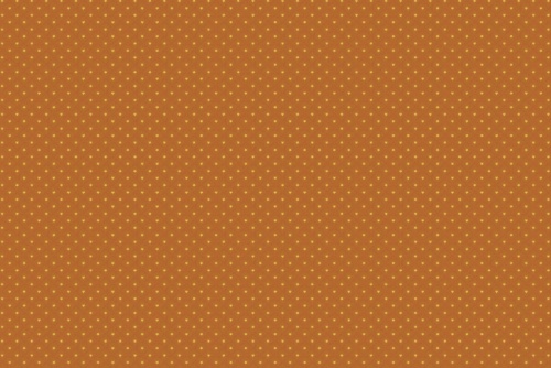 ESTRELLA PUMPKIN