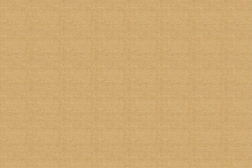 TERRY BEIGE