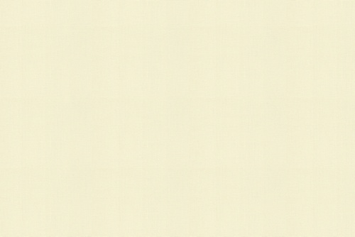 SLUBBY LINEN IVORY
