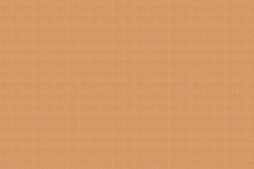 REMSEN BLUSH