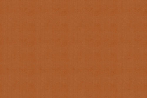 TITAN DELHI/HENNA