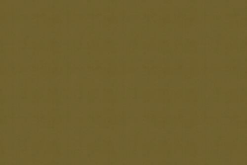 TITAN OLIVE