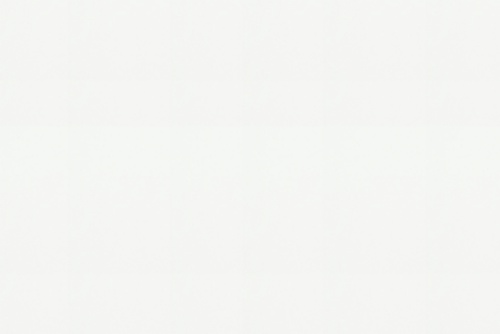 SPECIALSUEDE WHITE