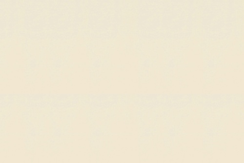 SPECIALSUEDE IVORY