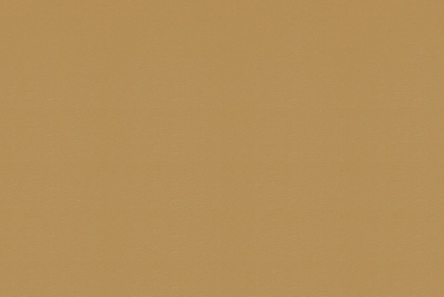 SHAUNA CHAMOIS
