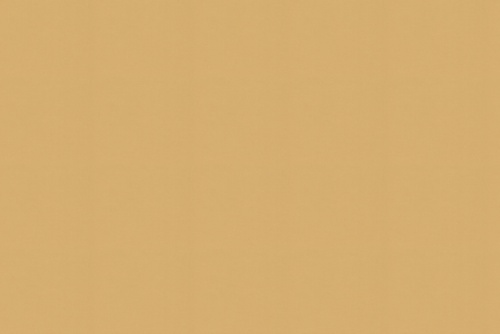 SHAUNA PALE GOLD