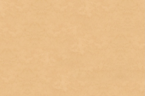 BOLERO CHAMOIS