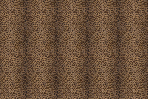 CHEETAH EARTH