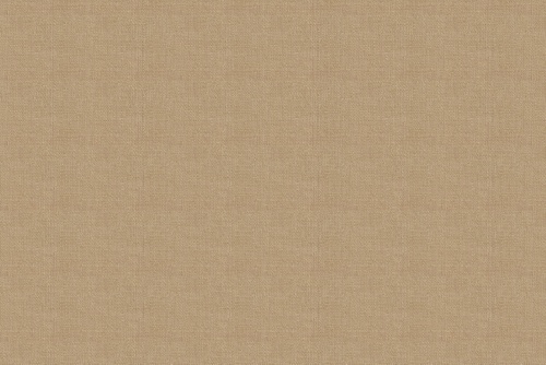 NEMO TAUPE