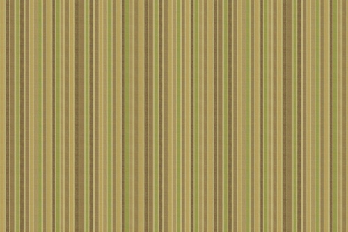 CAMPBELL OUTDOOR GRASS