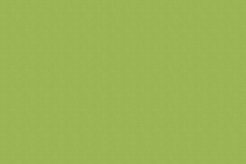 FLAGSHIP SUNBRELLA OUTDOOR LIME