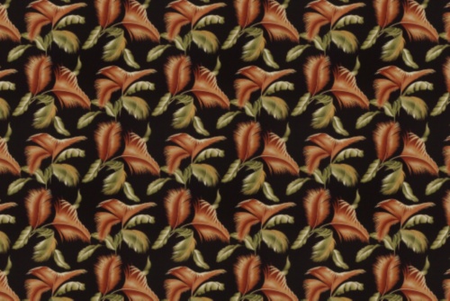 KOA BLACK
