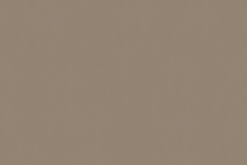 SENSUEDE ELEPHANT