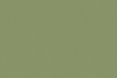 SENSUEDE GRASS