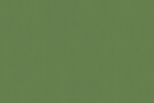 SENSUEDE LEAF