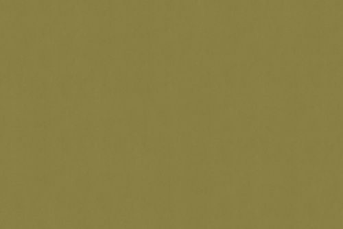 SENSUEDE OLIVE