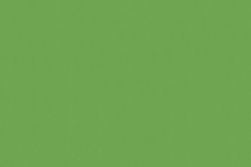 SENSUEDE ROMAINE
