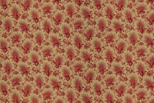 SARALA RASPBERRY