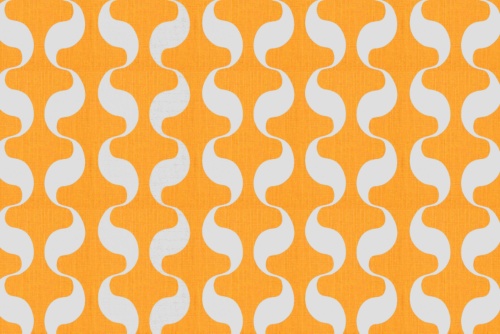 NELSON ORANGINA
