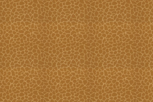NAMBIA BUTTERSCOTCH