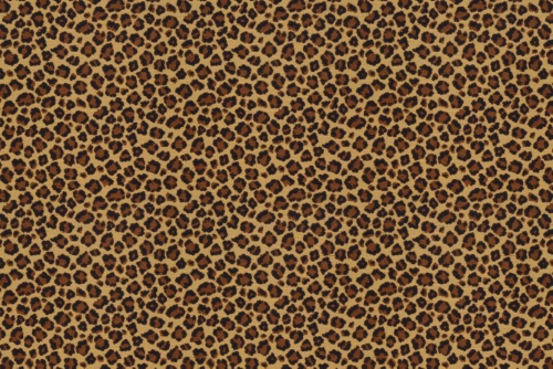 LINAL JAGUAR
