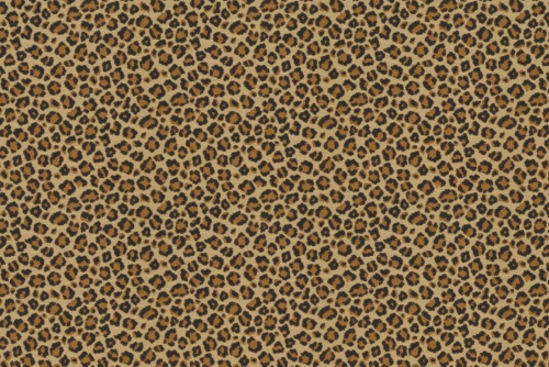 LINAL LEOPARD