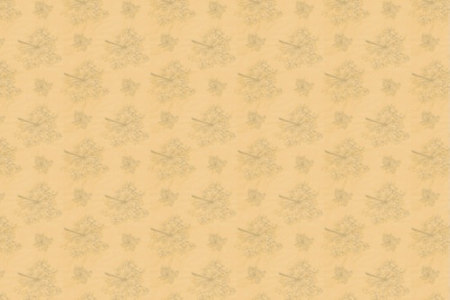 MIMOSA BEIGE