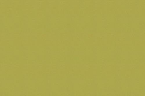 FLICKER KIWI