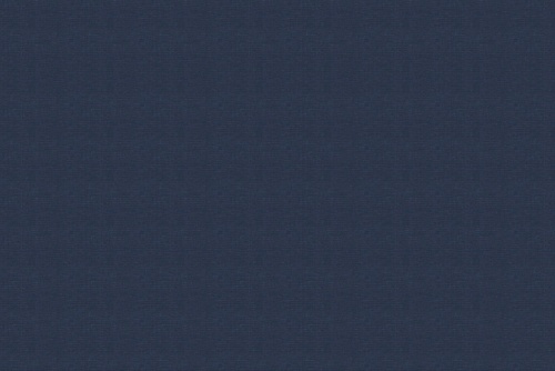 PATAGONIA DENIM
