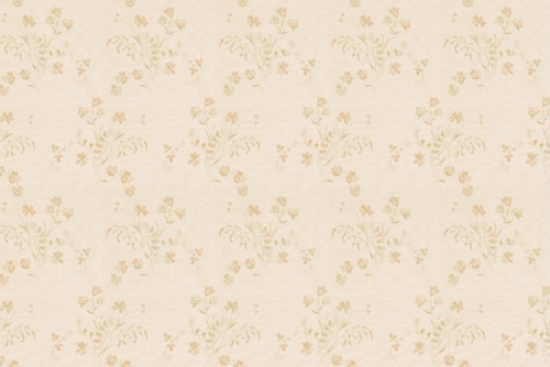 BOUQUET EMBROIDERY OATMEAL