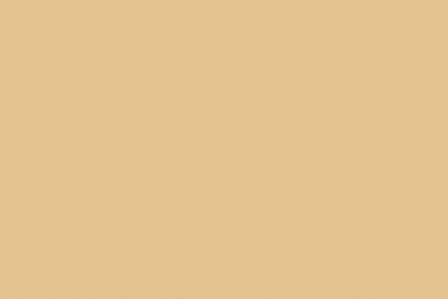 RANGER TWILL BUTTER
