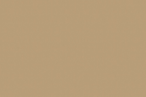 RANGER TWILL EARTH