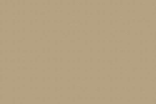 RANGER TWILL LATTE