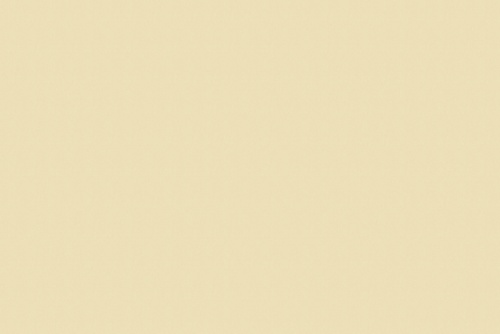 RANGER TWILL NATURAL