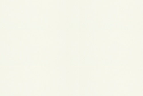 RANGER TWILL WHITE