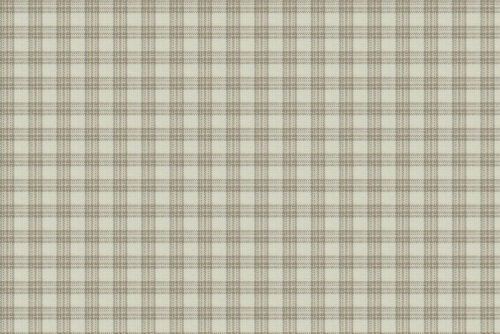 AMANDAS WAY - ROBERT ALLEN FABRICS TWINE