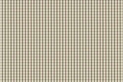 PARTY PLAID - ROBERT ALLEN FABRICS TERRAIN