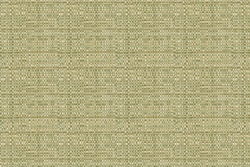 NEZUMI BK - ROBERT ALLEN FABRICS APPLE
